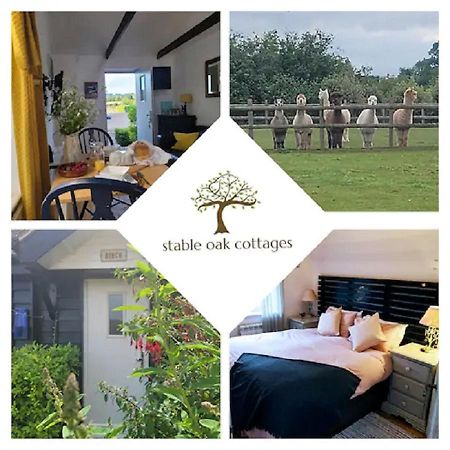 Birch Cottage With Private Wood Fire Hot Tub Harrietsham Экстерьер фото